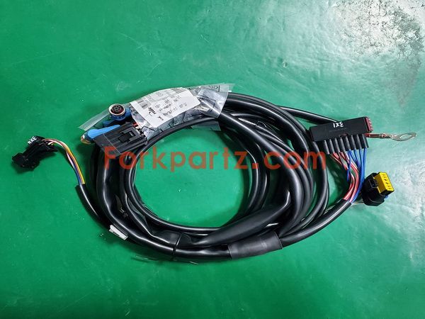 FPL0244 Wire Harness Assembly 1153801262